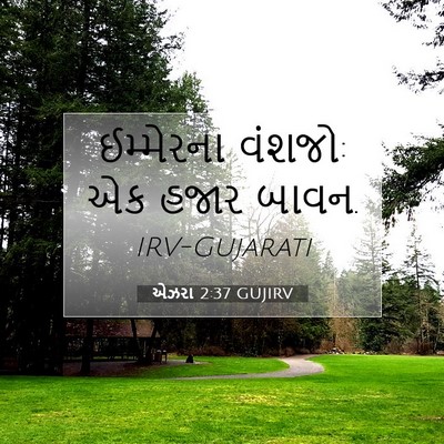 Picture 07 - એઝરા 2:37 GUJIRV - ઈમ્મેરના વંશજો: એક - Bible Verse Picture