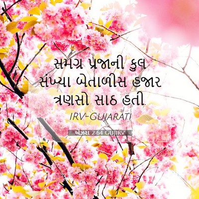 Picture 07 - એઝરા 2:64 GUJIRV - સમગ્ર પ્રજાની કુલ - Bible Verse Picture