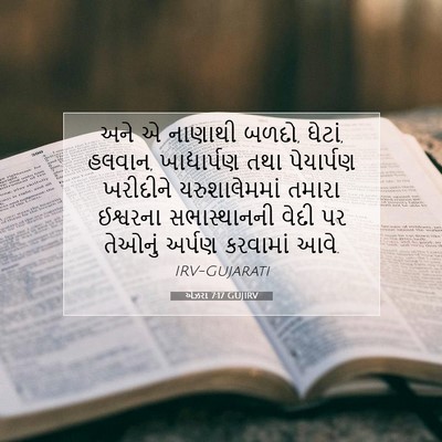 Picture 07 - એઝરા 7:17 GUJIRV - અને એ નાણાથી બળદો, - Bible Verse Picture