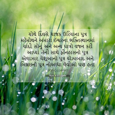 Picture 07 - એઝરા 8:33 GUJIRV - ચોથે દિવસે, યાજક - Bible Verse Picture