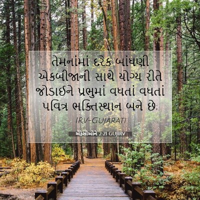 Picture 07 - એફેસીઓને 2:21 GUJIRV - તેમનાંમાં દરેક - Bible Verse Picture
