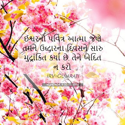 Picture 07 - એફેસીઓને 4:30 GUJIRV - ઈશ્વરનો પવિત્ર - Bible Verse Picture