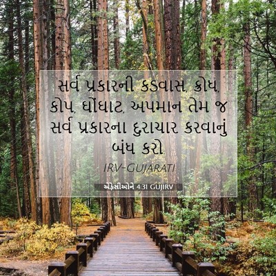 Picture 07 - એફેસીઓને 4:31 GUJIRV - સર્વ પ્રકારની - Bible Verse Picture