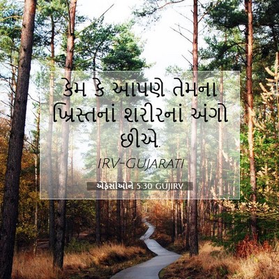 Picture 07 - એફેસીઓને 5:30 GUJIRV - કેમ કે આપણે તેમના - Bible Verse Picture