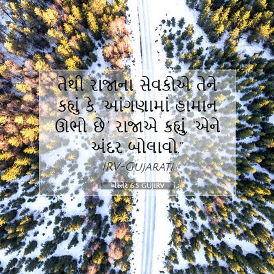 Picture 07 - એસ્તેર 6:5 GUJIRV - તેથી રાજાના - Bible Verse Picture