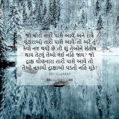 Picture 07 - ઓબાદ્યા 1:5 GUJIRV - જો ચોરો તારી પાસે - Bible Verse Picture