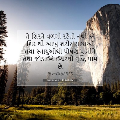 Picture 07 - ક્લોસ્સીઓને 2:19 GUJIRV - તે શિરને વળગી - Bible Verse Picture
