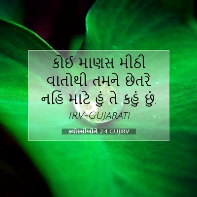 Picture 07 - ક્લોસ્સીઓને 2:4 GUJIRV - કોઈ માણસ મીઠી - Bible Verse Picture