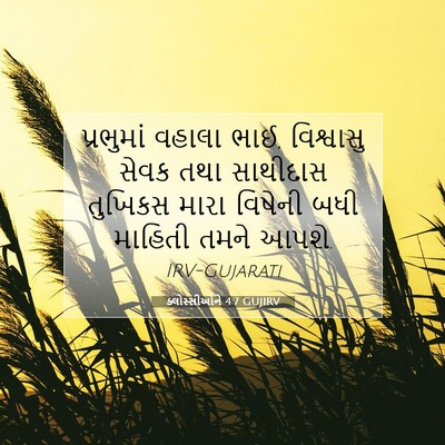 Picture 07 - ક્લોસ્સીઓને 4:7 GUJIRV - પ્રભુમાં વહાલા - Bible Verse Picture