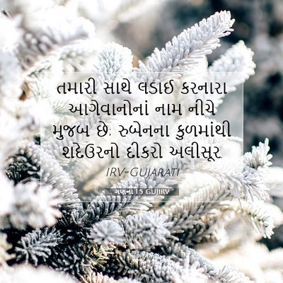 Picture 07 - ગણના 1:5 GUJIRV - તમારી સાથે લડાઈ - Bible Verse Picture