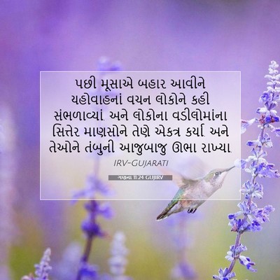 Picture 07 - ગણના 11:24 GUJIRV - પછી મૂસાએ બહાર - Bible Verse Picture