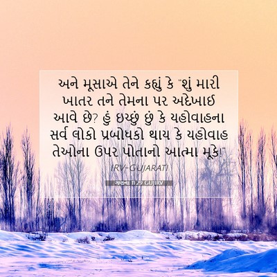Picture 07 - ગણના 11:29 GUJIRV - અને મૂસાએ તેને - Bible Verse Picture