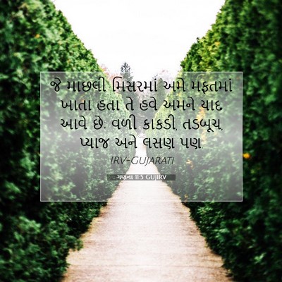 Picture 07 - ગણના 11:5 GUJIRV - જે માછલી મિસરમાં - Bible Verse Picture