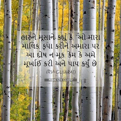 Picture 07 - ગણના 12:11 GUJIRV - હારુને મૂસાને - Bible Verse Picture