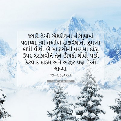 Picture 07 - ગણના 13:23 GUJIRV - જ્યારે તેઓ - Bible Verse Picture