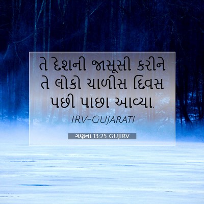 Picture 07 - ગણના 13:25 GUJIRV - તે દેશની જાસૂસી - Bible Verse Picture