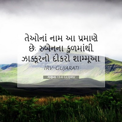 Picture 07 - ગણના 13:4 GUJIRV - તેઓનાં નામ આ - Bible Verse Picture