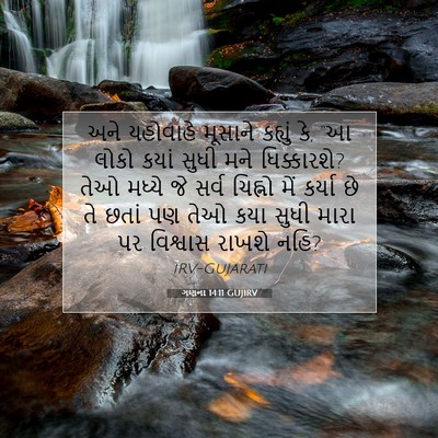 Picture 07 - ગણના 14:11 GUJIRV - અને યહોવાહે - Bible Verse Picture