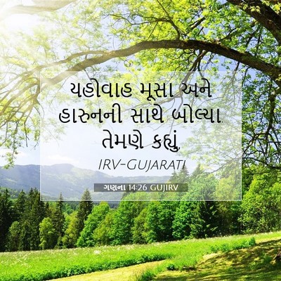 Picture 07 - ગણના 14:26 GUJIRV - યહોવાહ મૂસા અને - Bible Verse Picture