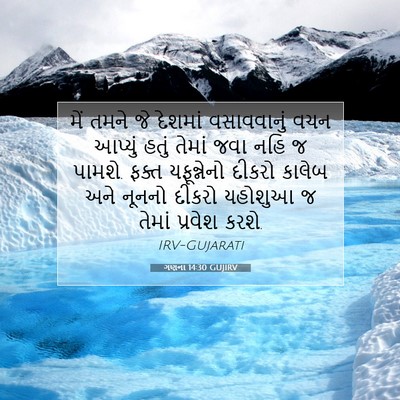 Picture 07 - ગણના 14:30 GUJIRV - મેં તમને જે દેશમાં - Bible Verse Picture