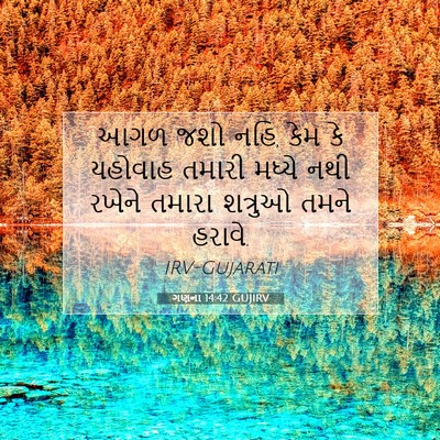 Picture 07 - ગણના 14:42 GUJIRV - આગળ જશો નહિ, કેમ કે - Bible Verse Picture