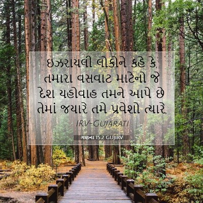 Picture 07 - ગણના 15:2 GUJIRV - ઇઝરાયલી લોકોને - Bible Verse Picture