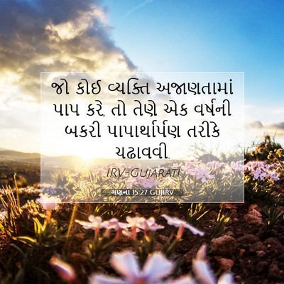 Picture 07 - ગણના 15:27 GUJIRV - જો કોઈ વ્યક્તિ - Bible Verse Picture