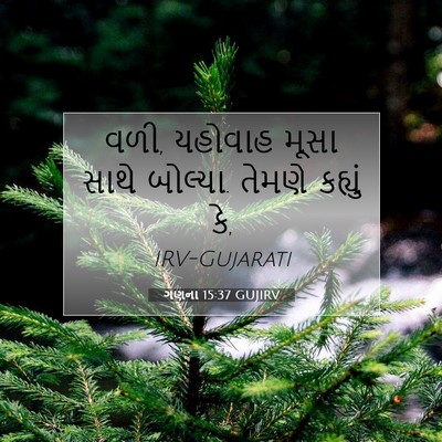 Picture 07 - ગણના 15:37 GUJIRV - વળી, યહોવાહ મૂસા - Bible Verse Picture