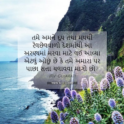 Picture 07 - ગણના 16:13 GUJIRV - તમે અમને દૂધ તથા - Bible Verse Picture