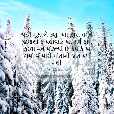 Picture 07 - ગણના 16:28 GUJIRV - પછી મૂસાએ કહ્યું, - Bible Verse Picture