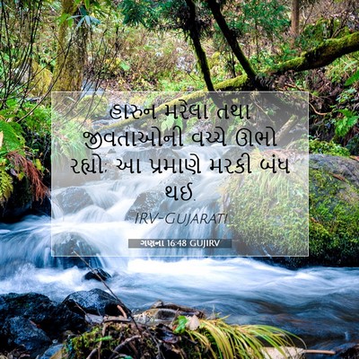 Picture 07 - ગણના 16:48 GUJIRV - હારુન મરેલા તથા - Bible Verse Picture