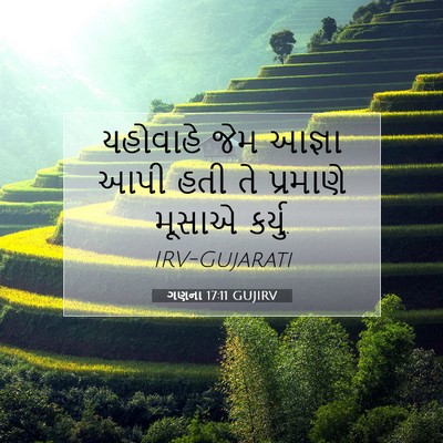Picture 07 - ગણના 17:11 GUJIRV - યહોવાહે જેમ આજ્ઞા - Bible Verse Picture