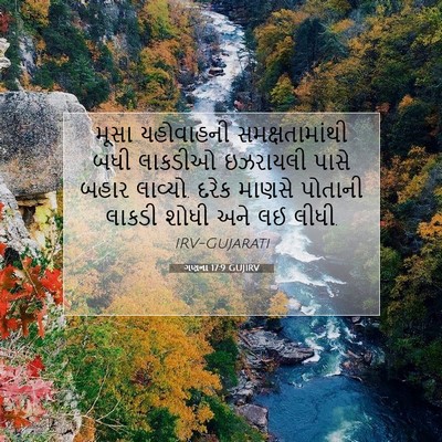 Picture 07 - ગણના 17:9 GUJIRV - મૂસા યહોવાહની - Bible Verse Picture