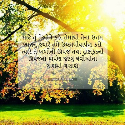 Picture 07 - ગણના 18:30 GUJIRV - માટે તું તેઓને કહે, - Bible Verse Picture