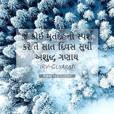 Picture 07 - ગણના 19:11 GUJIRV - જે કોઈ મૃતદેહનો - Bible Verse Picture