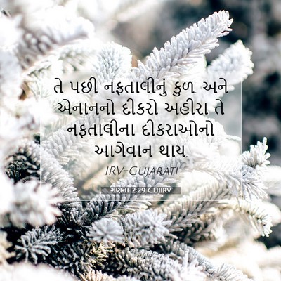 Picture 07 - ગણના 2:29 GUJIRV - તે પછી નફતાલીનું - Bible Verse Picture