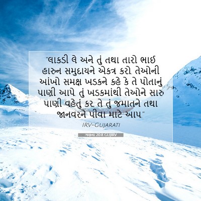 Picture 07 - ગણના 20:8 GUJIRV - “લાકડી લે અને તું - Bible Verse Picture