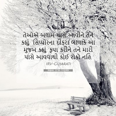 Picture 07 - ગણના 22:16 GUJIRV - તેઓએ બલામ પાસે - Bible Verse Picture