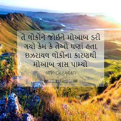 Picture 07 - ગણના 22:3 GUJIRV - તે લોકોને જોઈને - Bible Verse Picture