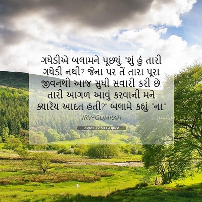Picture 07 - ગણના 22:30 GUJIRV - ગધેડીએ બલામને - Bible Verse Picture