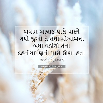 Picture 07 - ગણના 23:6 GUJIRV - બલામ બાલાક પાસે - Bible Verse Picture