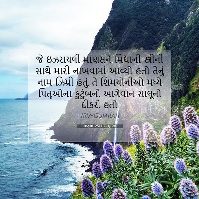 Picture 07 - ગણના 25:14 GUJIRV - જે ઇઝરાયલી માણસને - Bible Verse Picture