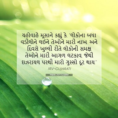 Picture 07 - ગણના 25:4 GUJIRV - યહોવાહે મૂસાને - Bible Verse Picture