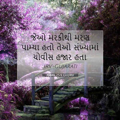 Picture 07 - ગણના 25:9 GUJIRV - જેઓ મરકીથી મરણ - Bible Verse Picture