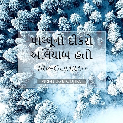 Picture 07 - ગણના 26:8 GUJIRV - પાલ્લૂનો દીકરો - Bible Verse Picture
