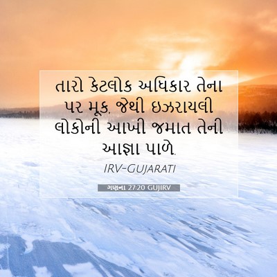 Picture 07 - ગણના 27:20 GUJIRV - તારો કેટલોક - Bible Verse Picture
