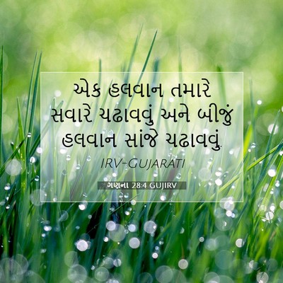 Picture 07 - ગણના 28:4 GUJIRV - એક હલવાન તમારે - Bible Verse Picture