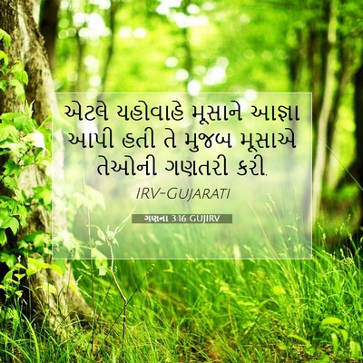 Picture 07 - ગણના 3:16 GUJIRV - એટલે યહોવાહે - Bible Verse Picture