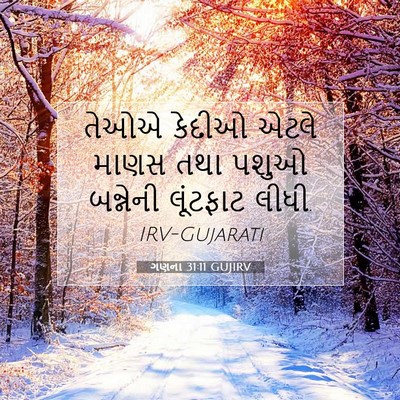 Picture 07 - ગણના 31:11 GUJIRV - તેઓએ કેદીઓ એટલે - Bible Verse Picture