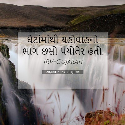 Picture 07 - ગણના 31:37 GUJIRV - ઘેટાંમાંથી - Bible Verse Picture